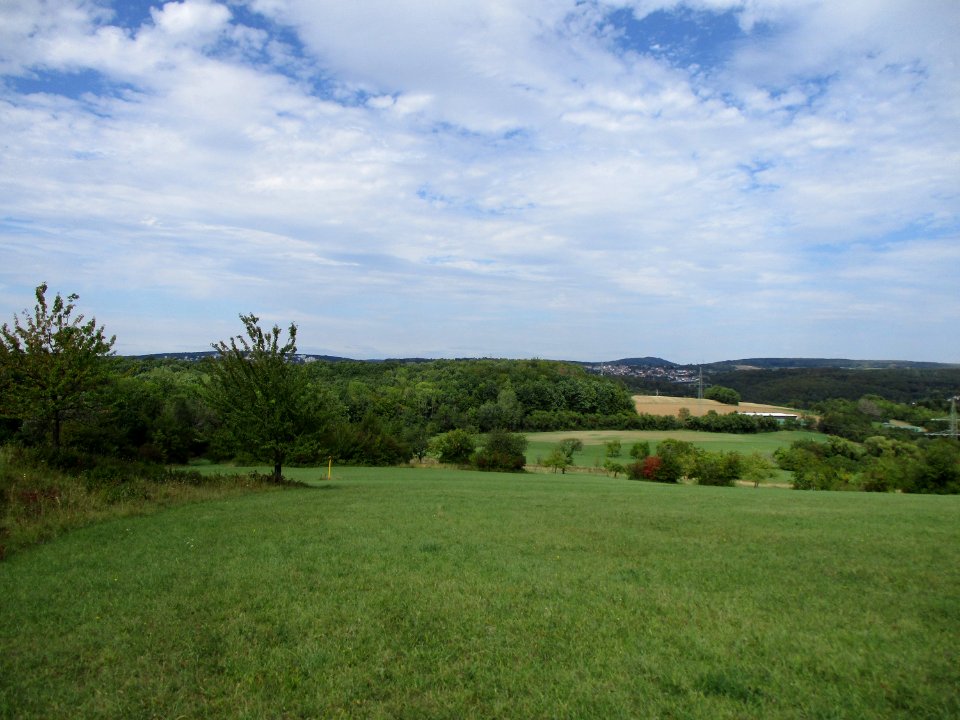 20200904Birzberg1