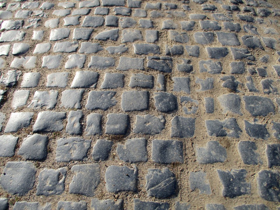 20201010Freundstückweg_Forst3