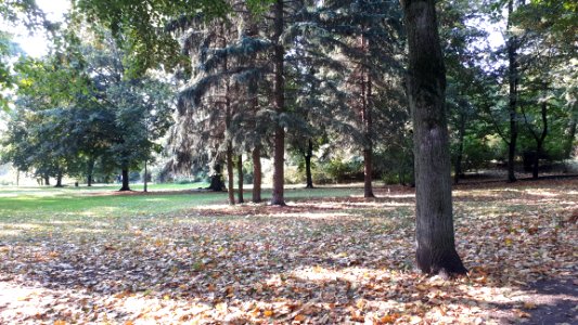 20201003_140316_Park_Centralny_in_Białystok