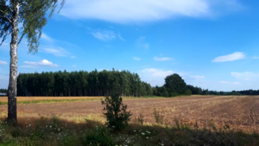 20200728_172046_Województwo_podlaskie