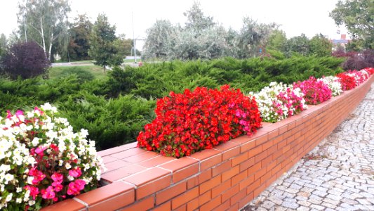 20201004_140401_Jadwiga_Dziekońska_Park_in_Białystok