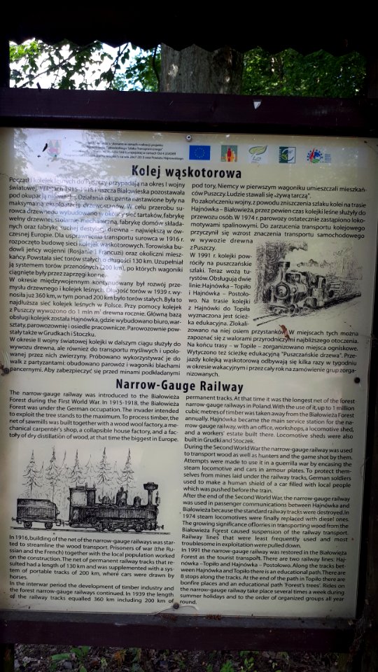 20200728_133535_Kolejka_wąskotorowa_Hajnówka-Topiło