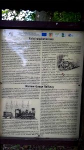 20200728_133535_Kolejka_wąskotorowa_Hajnówka-Topiło