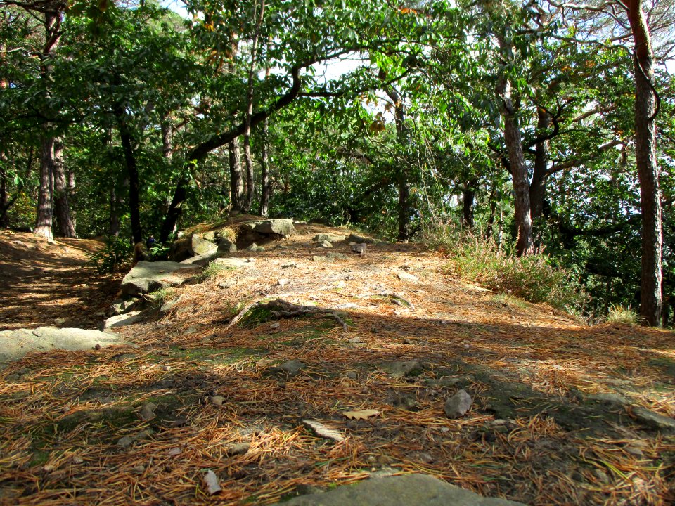 20201010Heidenlöcher03