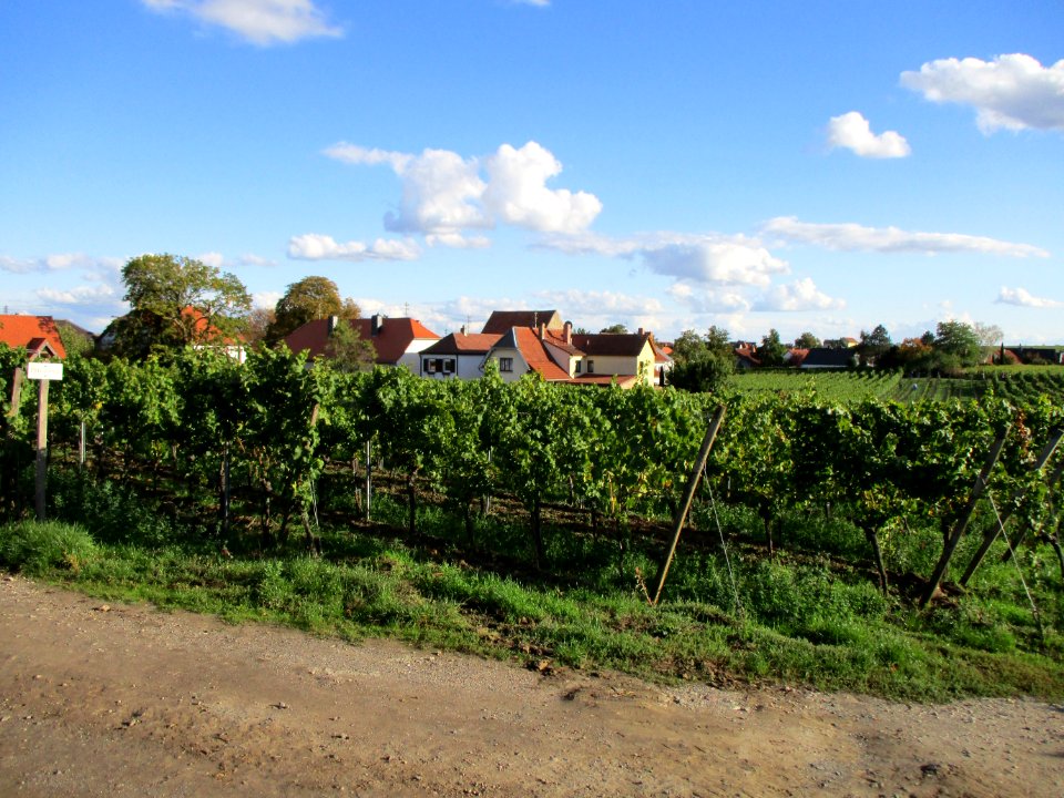 20201010Freundstück_Forst3
