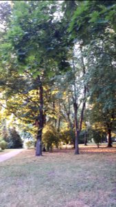 20200729_193657_Park_Centralny_in_Białystok