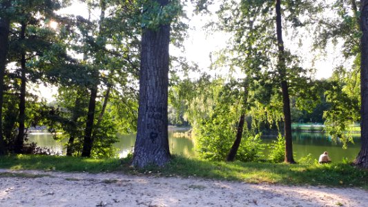 20200912_170720_Park_Piłsudskiego_in_Łódź