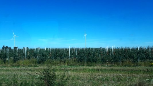 20200918_114212_2020_in_Łódź_Voivodeship