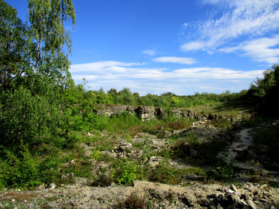20200904Birzberg6