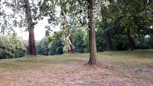 20200824_181235_Park_Piłsudskiego_in_Łódź