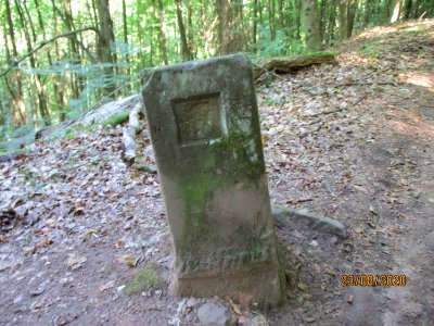 20200823Stiftswald_St_Arnual04
