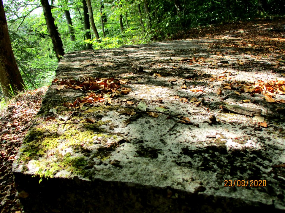 20200823Sonnenberg2