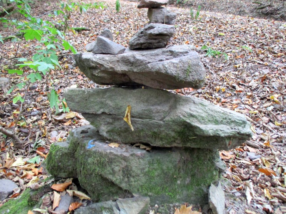 20200923Steinbachtal8