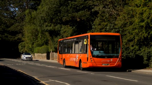 20200807_Yorkshire_Tiger_719_(cropped)