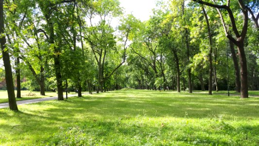20200905_145924_Park_Piłsudskiego_in_Łódź