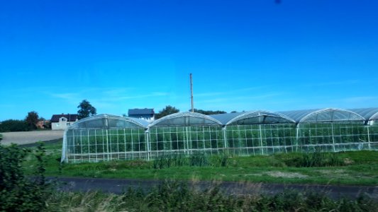 20200918_115502_Agriculture_in_Łódź_Voivodeship
