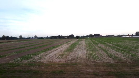 20200919_172752_2020_in_Greater_Poland_Voivodeship
