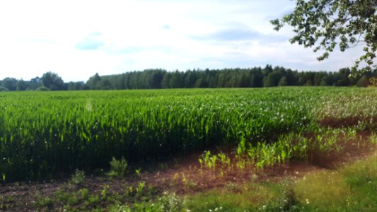 20200728_165625_Województwo_podlaskie