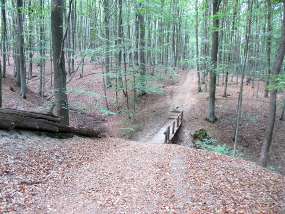 20200923Steinbachtal1