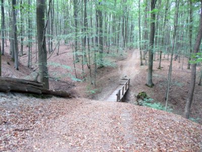 20200923Steinbachtal1