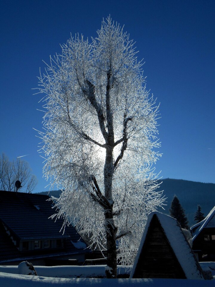 Winter wintry snowy