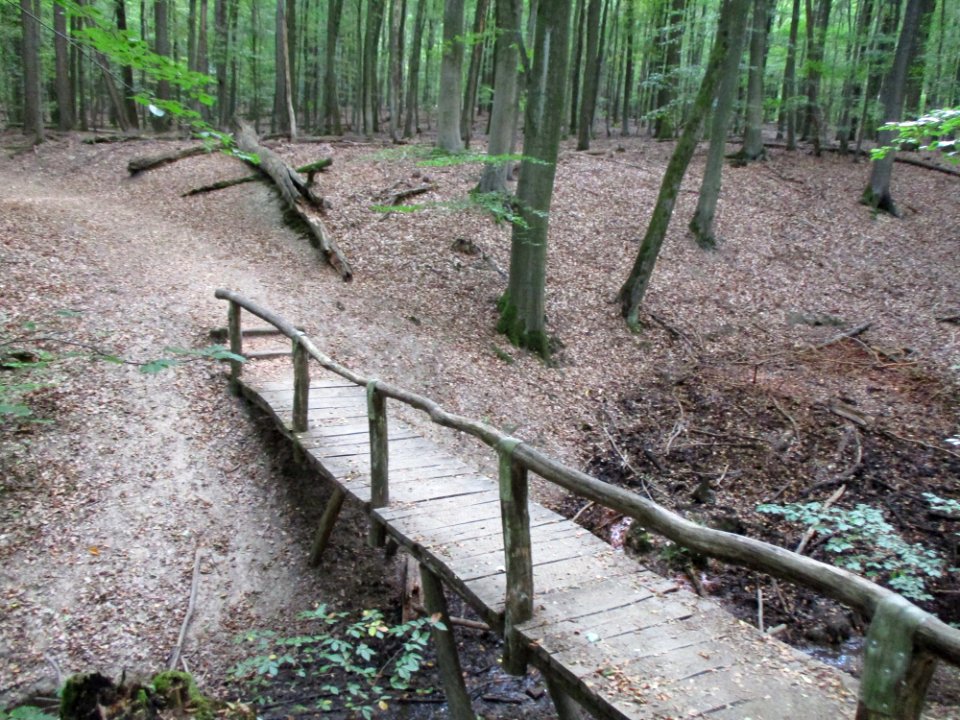 20200923Steinbachtal3