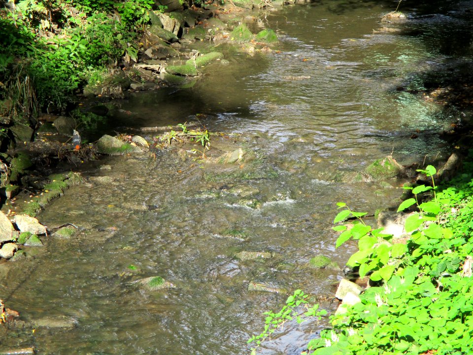20200910Saarbach