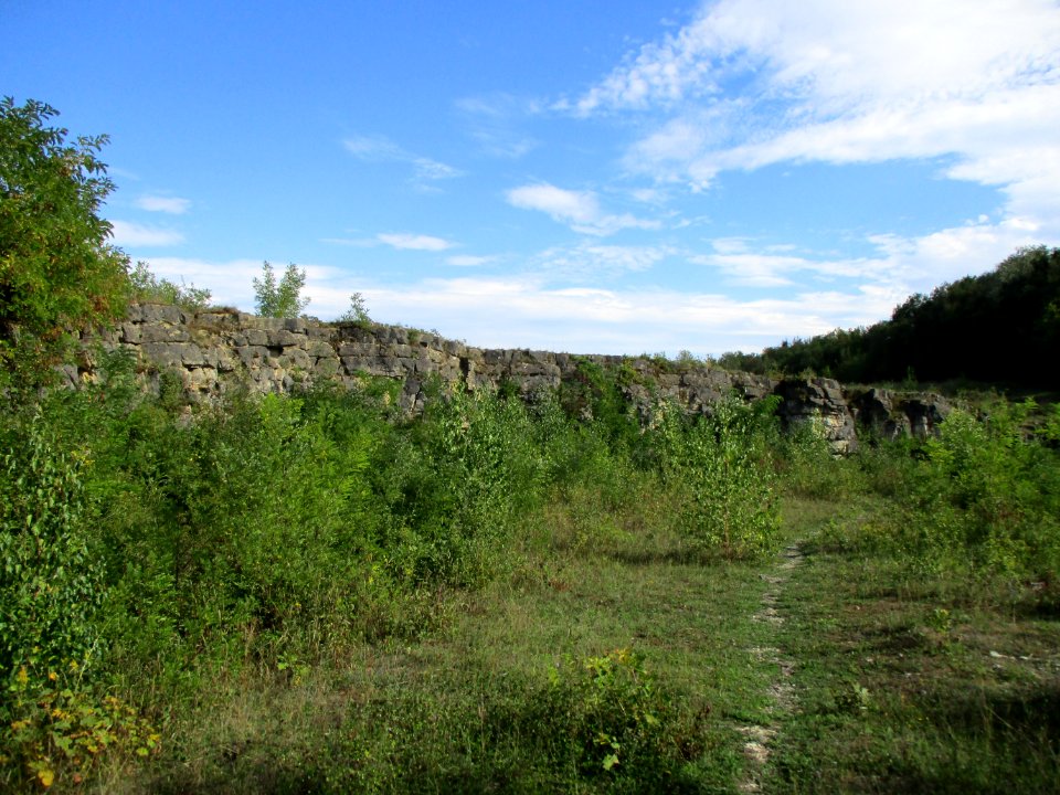 20200904Birzberg5
