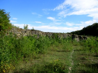 20200904Birzberg5