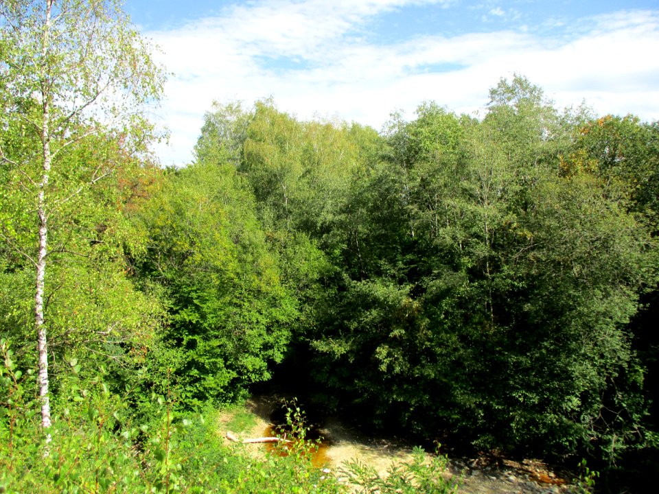 20200904Birzberg3