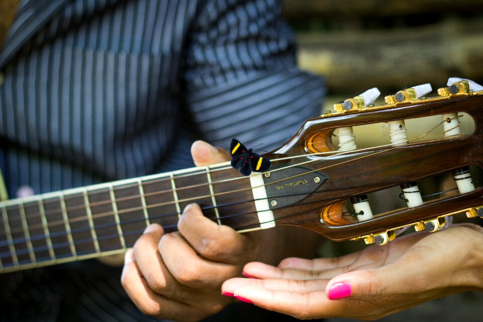 Nature music romantic
