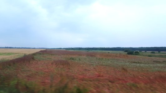 20200804_101112_Województwo_podlaskie