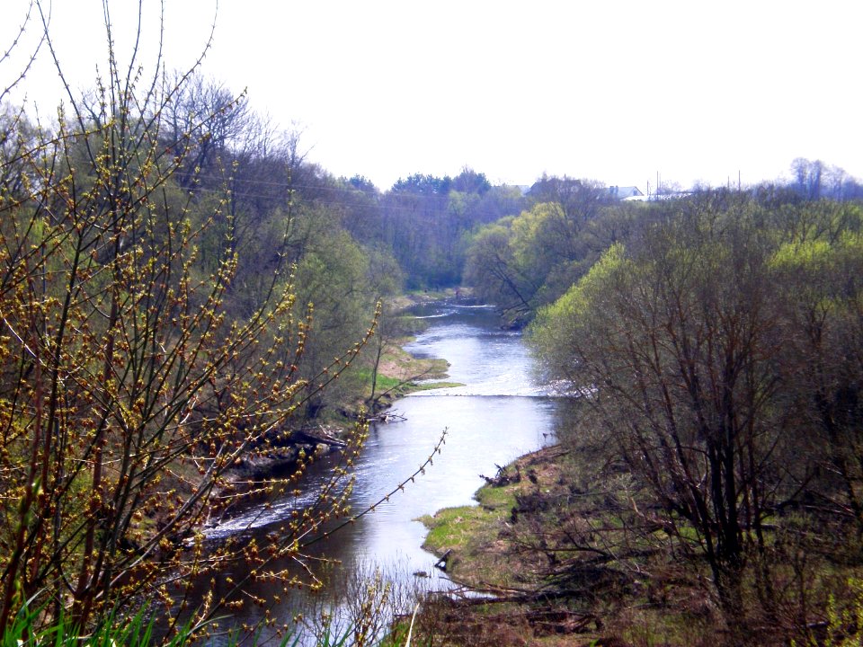 Šušvė,_Josvainiai