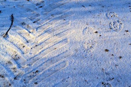 Wintry cold white