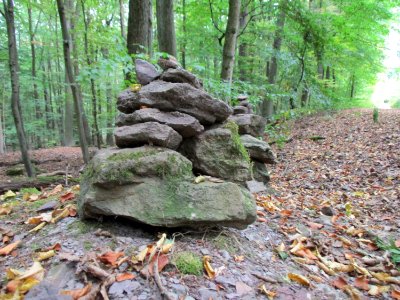 20200923Steinbachtal7