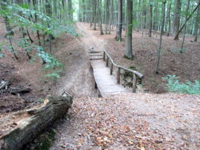 20200923Steinbachtal2