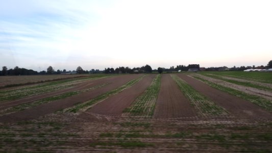 20200919_172753_2020_in_Greater_Poland_Voivodeship