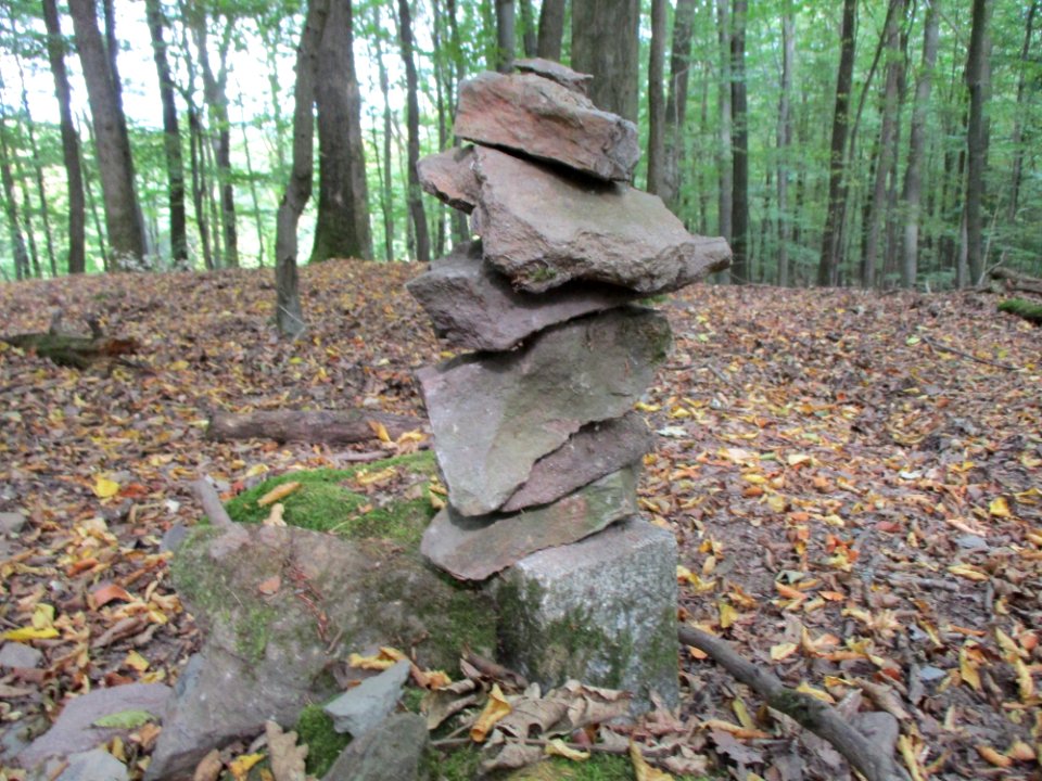 20200923Steinbachtal6
