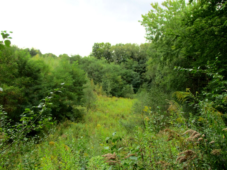 20200923Steinbachschacht