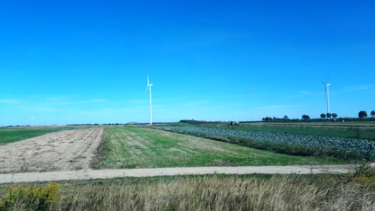 20200918_114246_2020_in_Łódź_Voivodeship