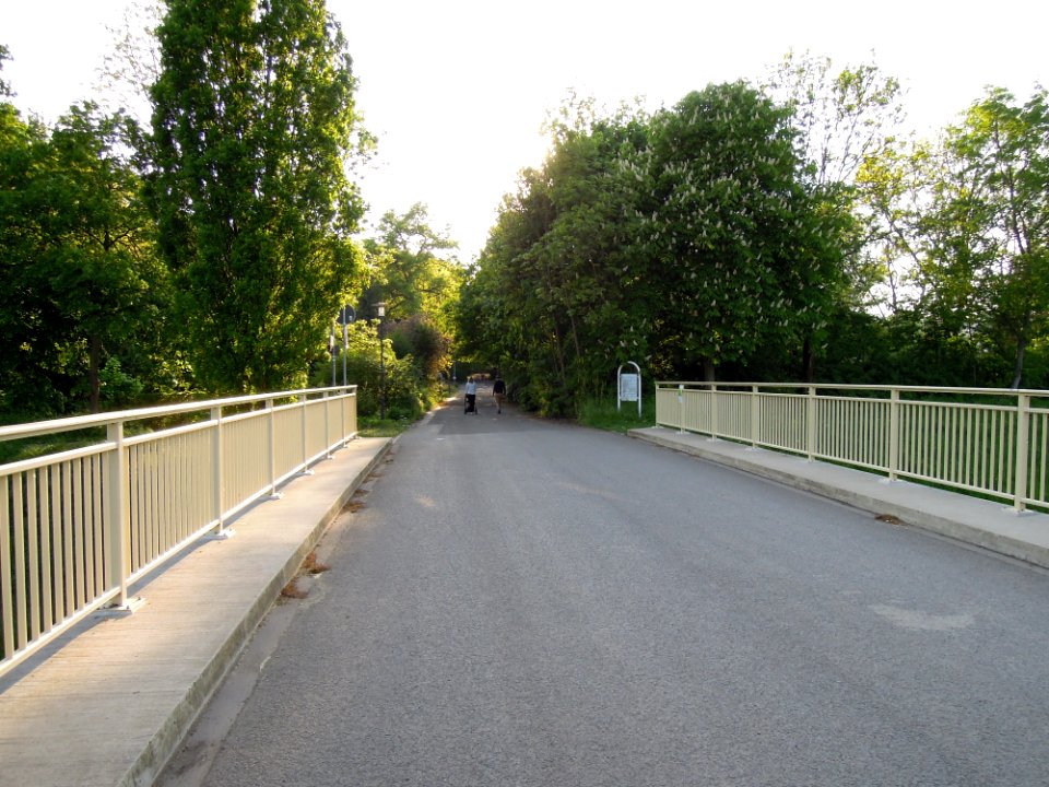 Ökoschulbrücke_im_agra-Park_-Nutzfläche-_Ende_April_2018