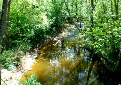 Šumera2