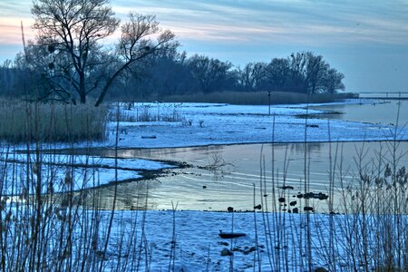 Port cold nature evening photo