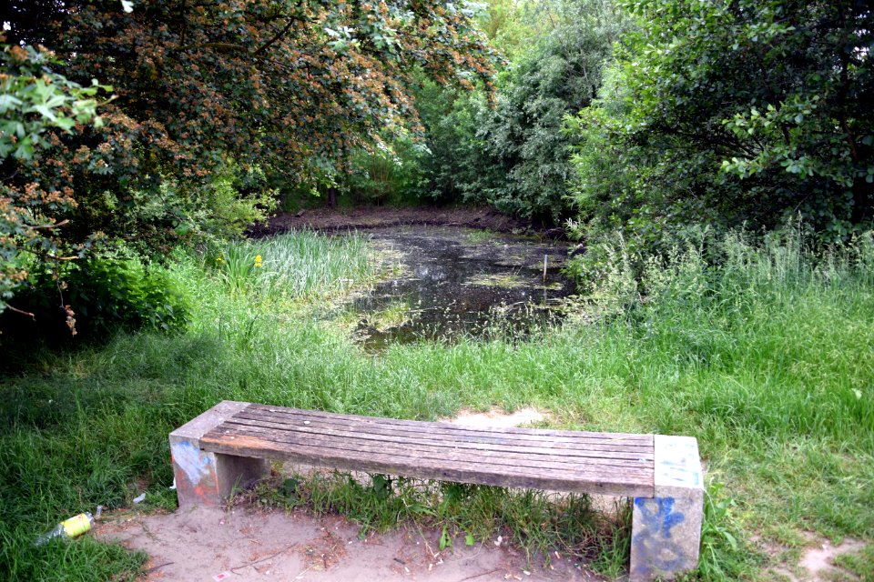 Östlicher_Gehrenseeteich_(Berlin-Falkenberg)_3v3