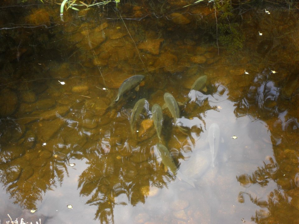 Čeňkova_pila_3