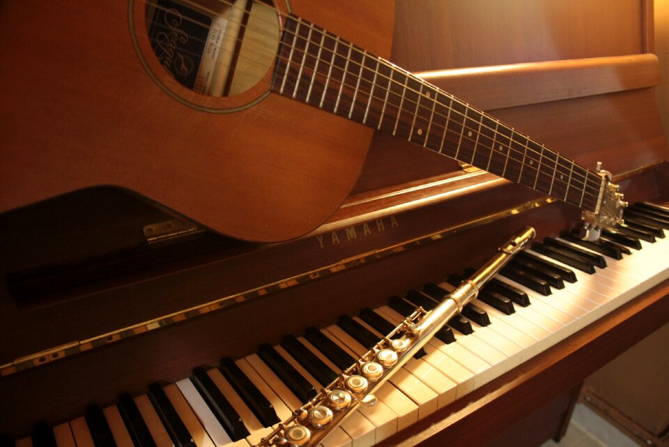 Guitar music instruments