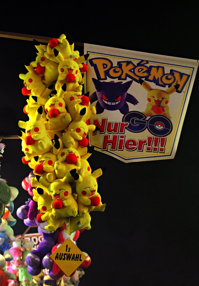 Folk festival pokemon profit