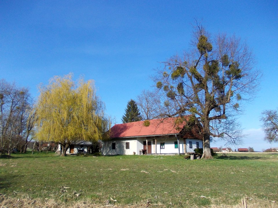 Župelevec_10