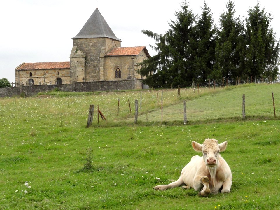 Église_Saint-Nicolas_de_Mussey_de_Val-d'Ornain_(01)