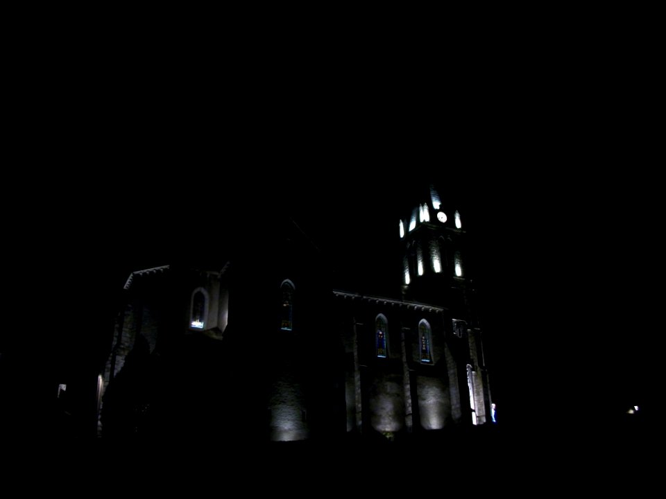 Église_Saint-Vincent_de_Gourdan_21